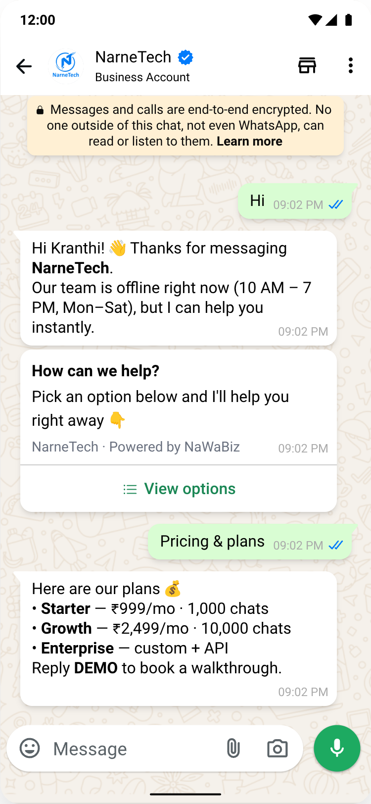 WhatsApp auto reply conversation: a Hi triggers an away message, a View options list menu and a pricing reply